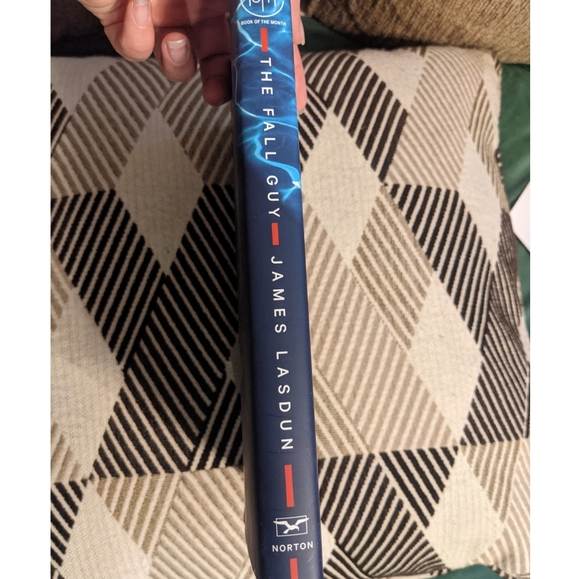 The Fall Guy -James Lasdun - Picture 2 of 3